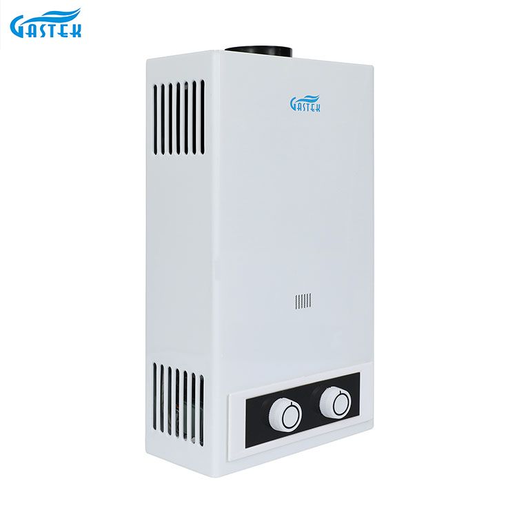 샤워를 위한 가정용품 굴뚝 유형 잘 고정된 LPG Tankless 즉시 가스 간헐천