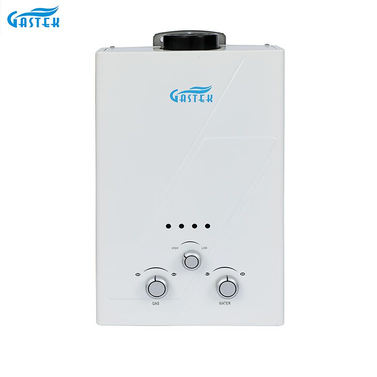 굴뚝 유형 샤워를 위한 잘 고정된 6L 10L 12L 16L 20L LPG Tankless 즉시 가스 간헐천