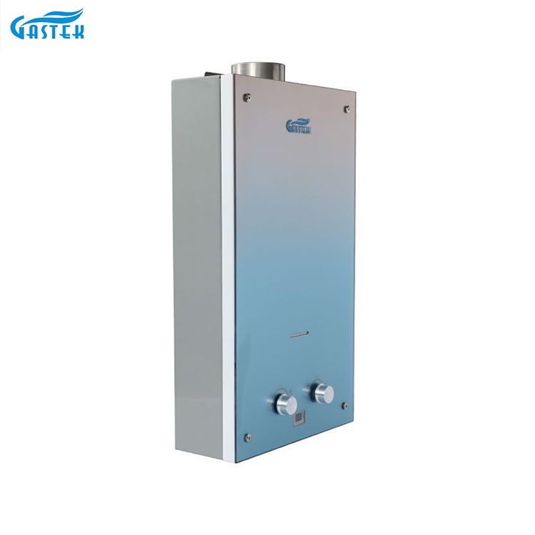 가정용품 6L 10L 12L 굴뚝 유형 잘 고정된 주문을 받아서 만들어진 유리제 패널 Tankless 샤워 입욕을 위한 즉시 가스 간헐천