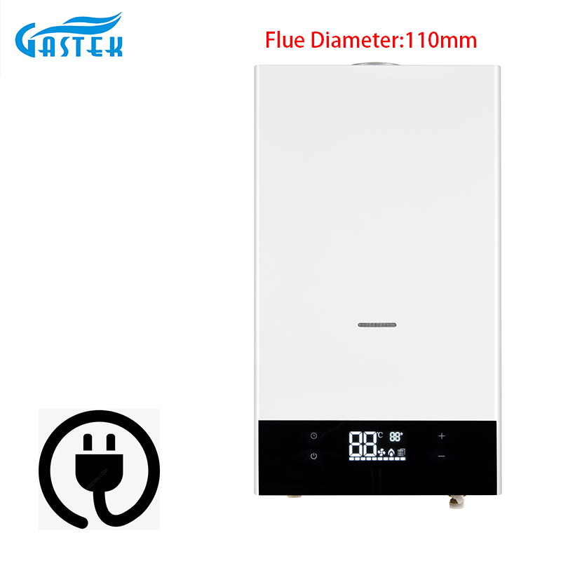전자 제어 항온 10L 12L 굴뚝 유형 벽걸이형 탱크리스 인스턴트 LPG 샤워용 천연 온수 가스 온수기