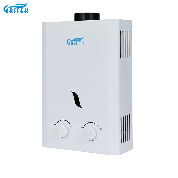 가정용품 굴뚝 유형 잘 고정된 6L 10L 12L 16L 20L LPG Tankless 샤워를 위한 즉시 가스 간헐천
