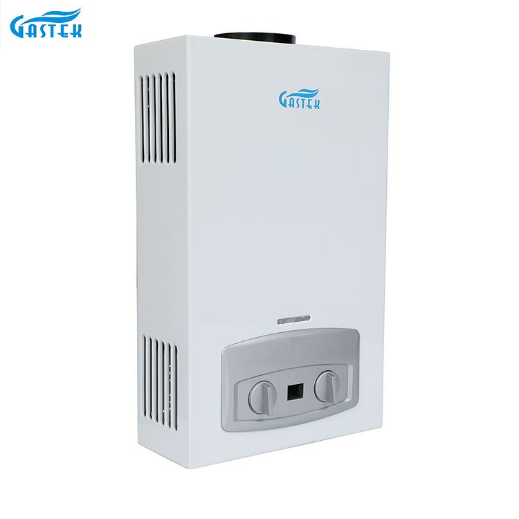가정용품 굴뚝 유형 잘 고정된 10L LPG 샤워를 위한 Tankless 순간 가스 온수기