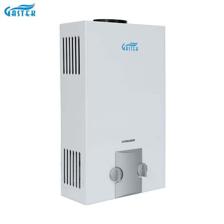 가정용품 공장 OEM ODM 굴뚝 유형 샤워를 위한 잘 고정된 6L 10L 12L 16L 20L LPG Tankless 즉시 가스 간헐천