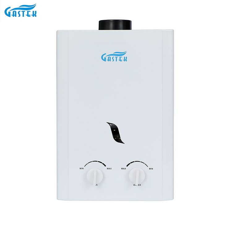 굴뚝 유형 샤워를 위한 잘 고정된 6L 10L 12L 16L 20L LPG Tankless 순간 가스 온수기