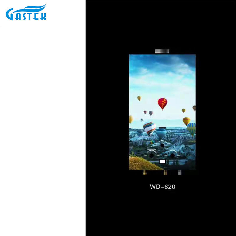 LPG 천연 굴뚝 유형 10L 냉강 가스 온수기
